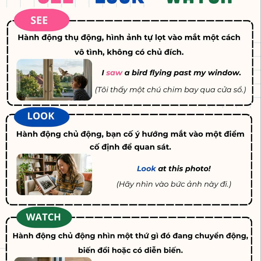 SEE, LOOK VÀ WATCH KHÁC NHAU NHƯ THẾ NÀO? CÁCH PHÂN BIỆT DỄ NHỚ NHẤT