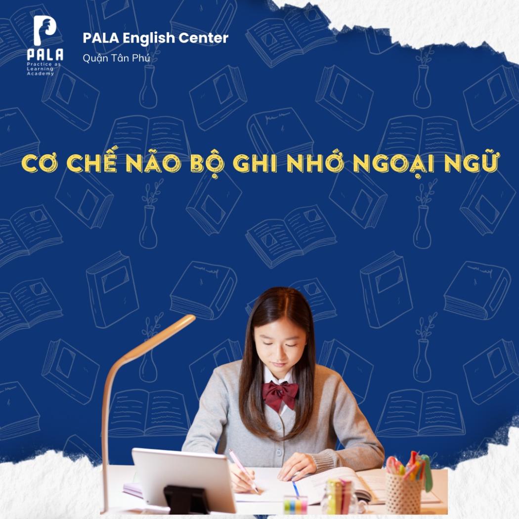 Cơ chế não bộ ghi nhớ ngoại ngữ: Tại sao có người học nhanh, người học chậm?