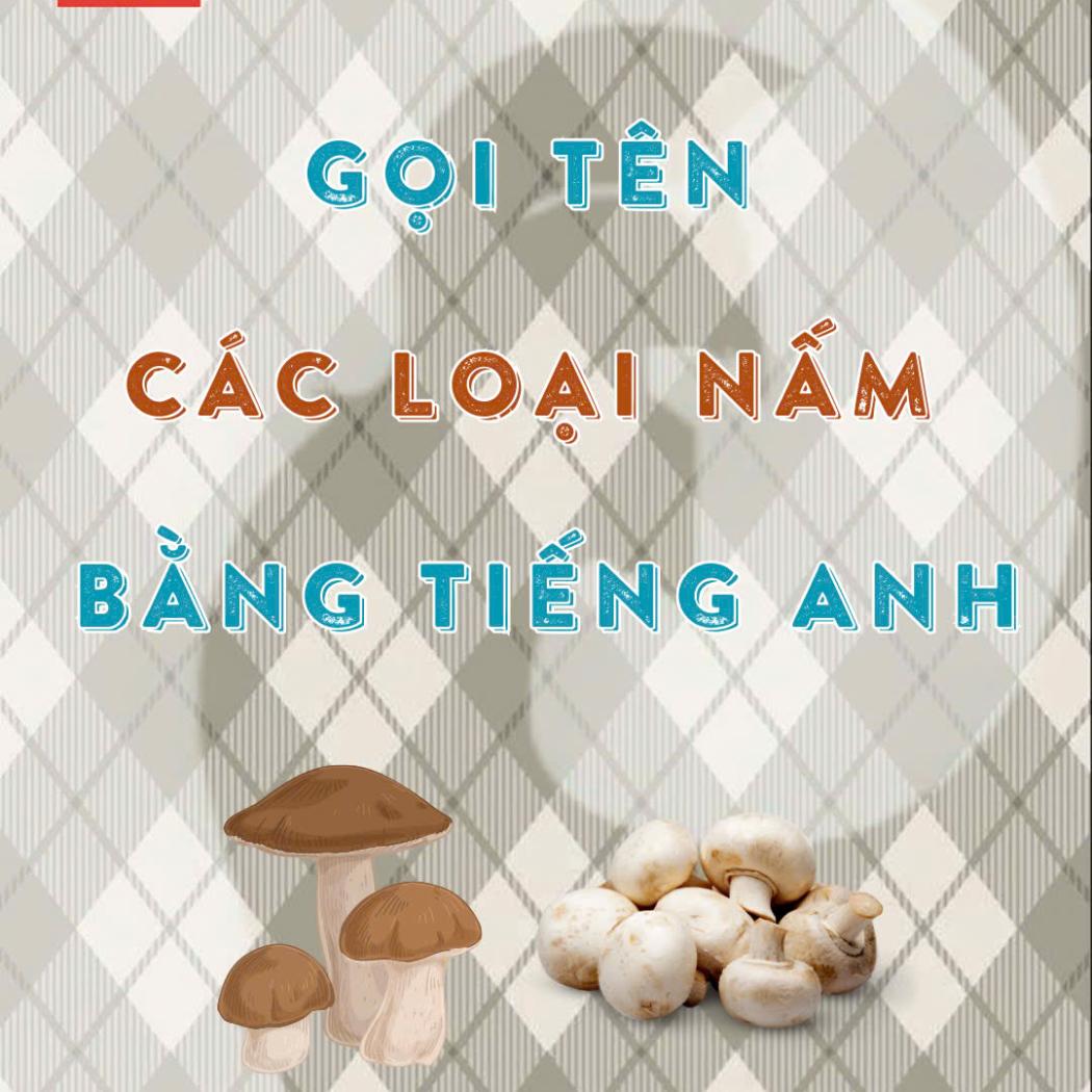 Các loại nấm phổ biến bằng tiếng Anh: Từ nấm mỡ đến nấm kim châm