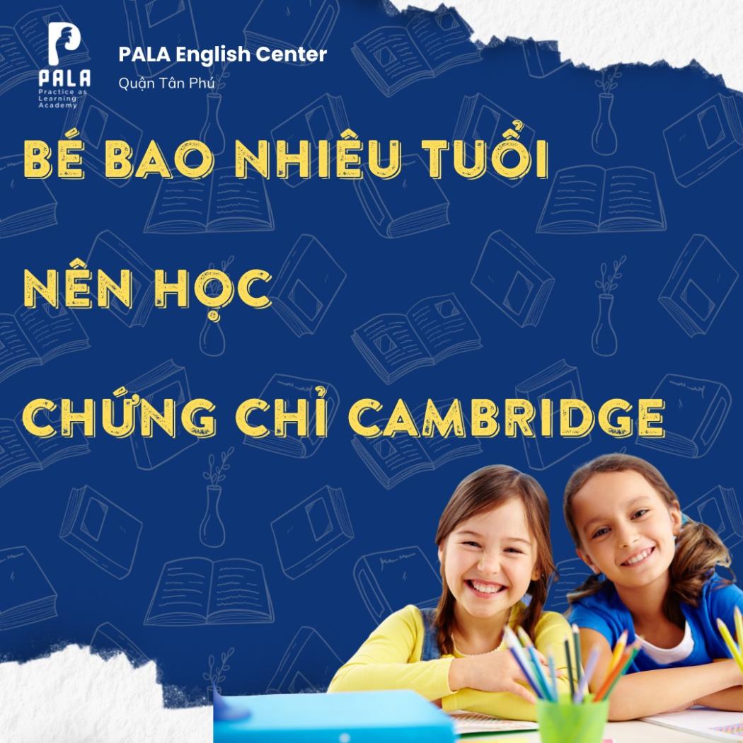 Bé mấy tuổi học được chứng chỉ Cambridge? Lộ trình chuẩn cho từng độ tuổi