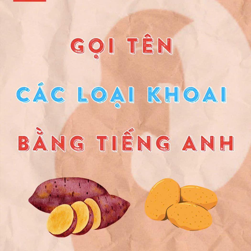 Gọi tên các loại khoai bằng tiếng Anh: Cẩm nang từ vựng cho người yêu ẩm thực