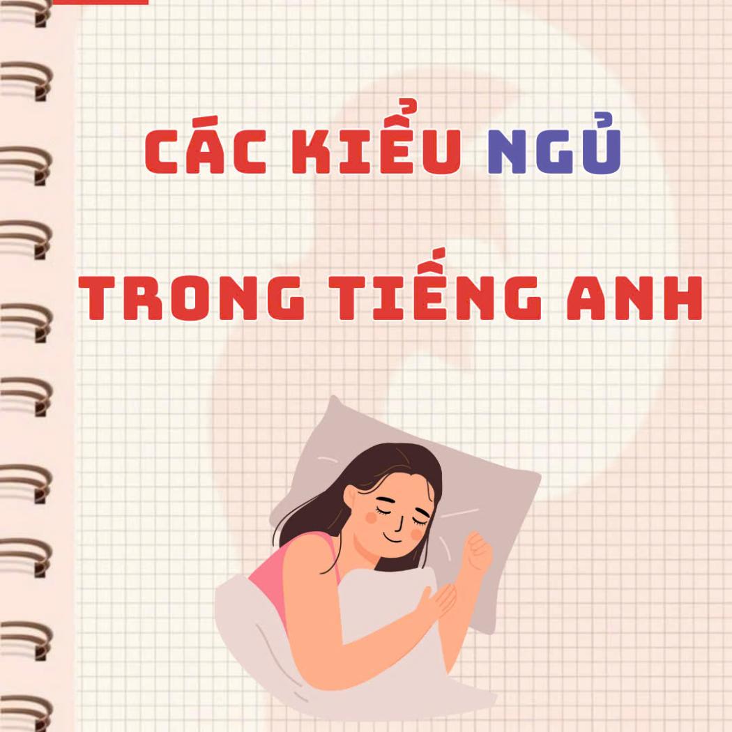 10+ Từ Vựng & Thành Ngữ Tiếng Anh Diễn Tả Các Kiểu Ngủ