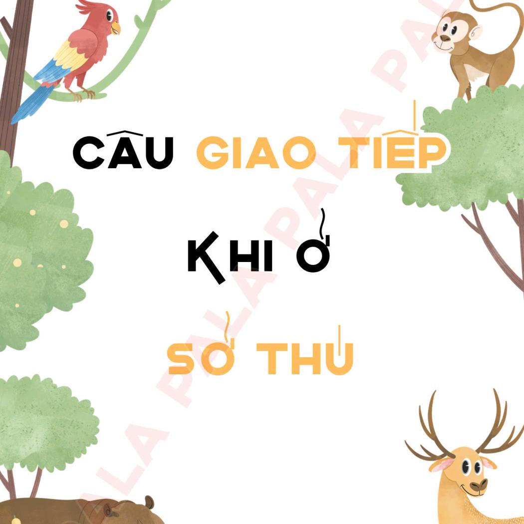 Trọn bộ mẫu câu giao tiếp tiếng Anh khi đi sở thú thông dụng nhất