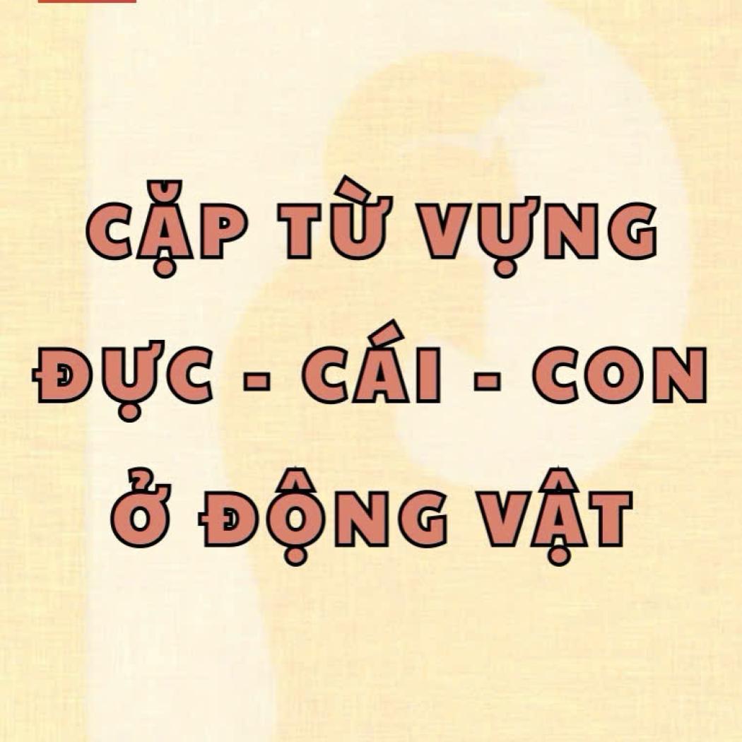 Từ Vựng Tiếng Anh Về Tên Gọi Động Vật Đực – Cái – Con: Học Từ Vựng Một Cách Thú Vị Cùng PALA