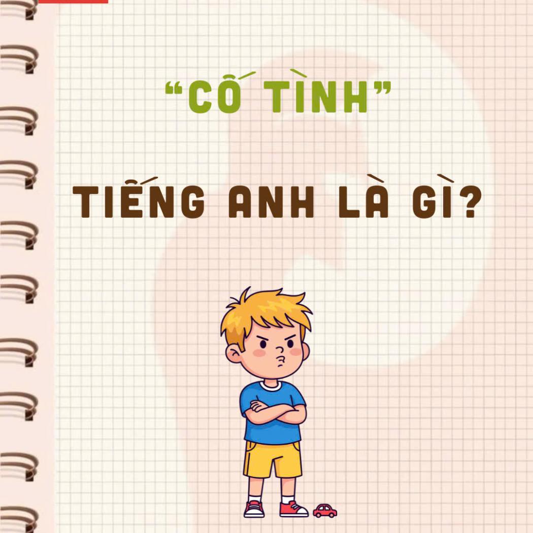 Cố tình tiếng Anh là gì? 6 cách dùng từ cực chuẩn trong giao tiếp