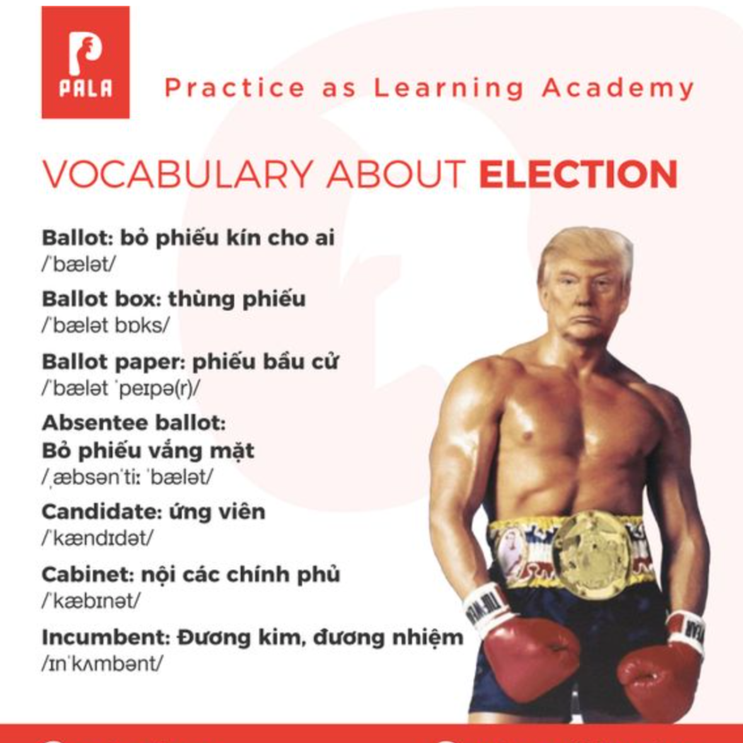 Từ Vựng về Bầu Cử | Vocabulary about Election