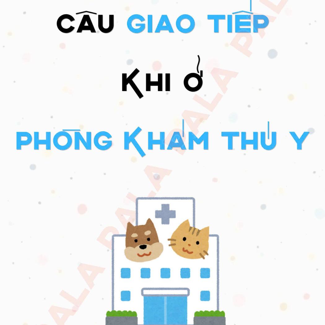 Trọn bộ mẫu câu giao tiếp tiếng Anh khi ở phòng khám thú y thông dụng nhất