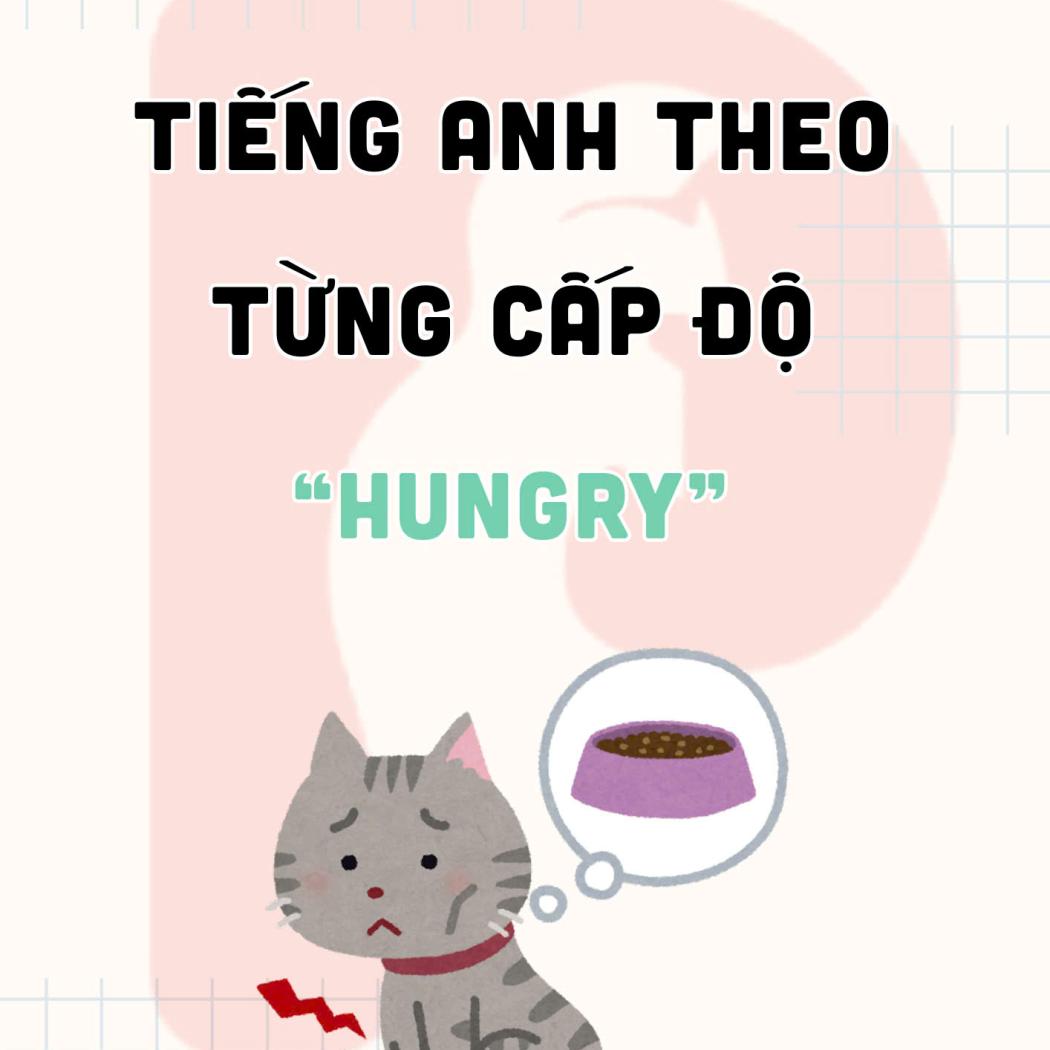 Từ Vựng Tiếng Anh Chỉ 