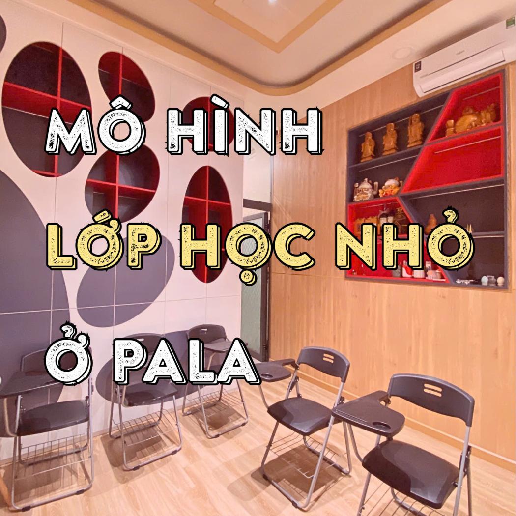 Lớp học nhỏ, giáo viên kèm sát – Giải pháp học tiếng Anh hiệu quả tại PALA