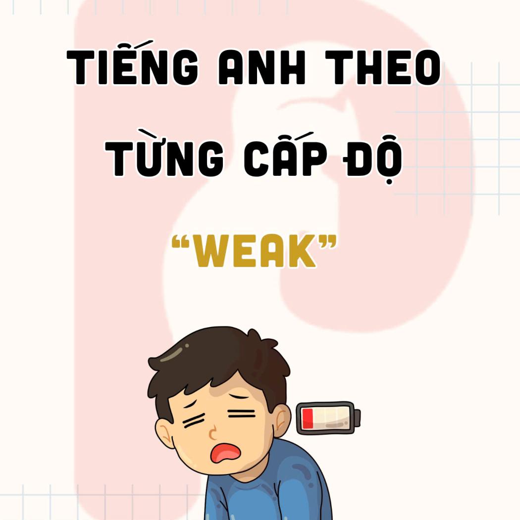 Tổng hợp từ vựng chỉ sự 
