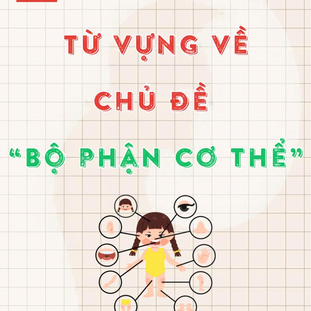 Từ vựng tiếng Anh về các bộ phận cơ thể