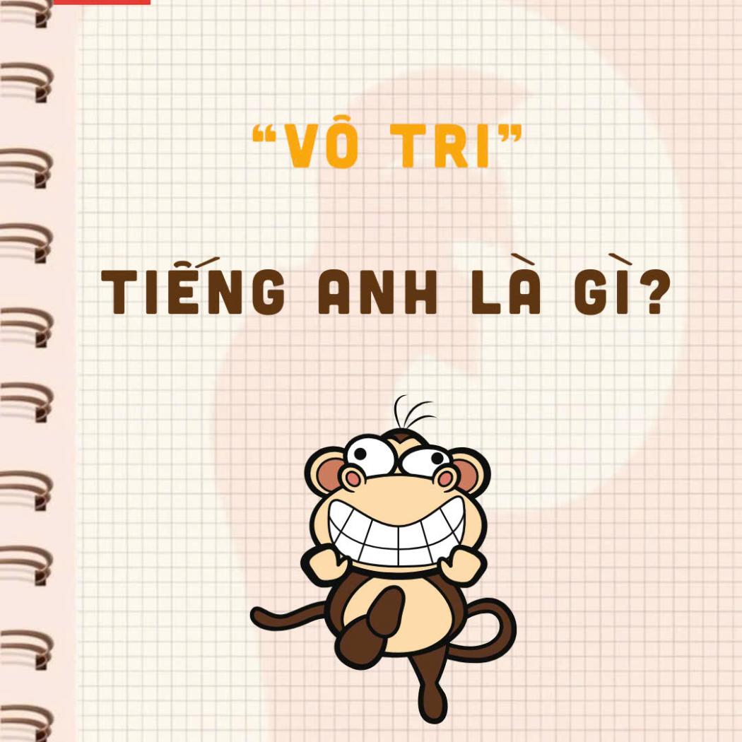 Vô tri tiếng Anh là gì? 7 cách diễn đạt cực 