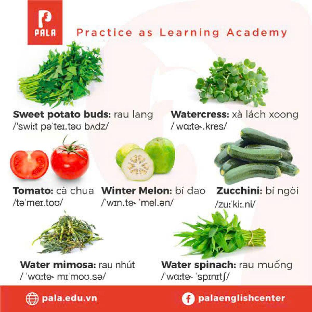 Từ Vựng về Rau Củ | Vocabulary of Vegetables